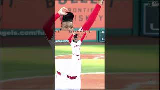 Kevin Pillar Makes a Spectacular Catch 😳🔥 shorts mlb [upl. by Ventre505]