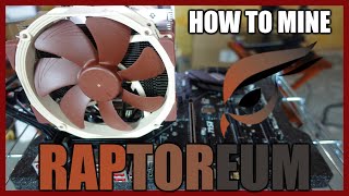 How To Mine Raptoreum  Win 10 And HiveOS [upl. by Nosnehpets]