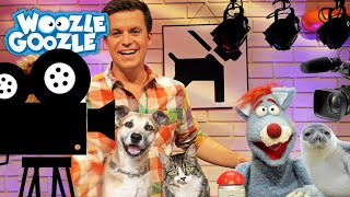 Wie werden Tiere für Film und Fernsehen trainiert l WOOZLE GOOZLE [upl. by Sukul]