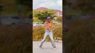 Olivetheboy  Home Alone Official dance Afrolin Carter [upl. by Hiamerej]