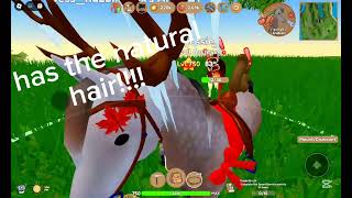 catching more rare horses in wild horse islands Halloween event 2024 [upl. by Adnalahs307]