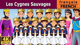 Les Cygnes Sauvages  Wild Swans in French  Histoire Pour Les Petit  Contes De Fées Français [upl. by Sivatco]