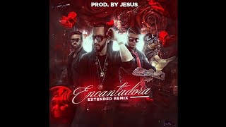 Yandel Ft Farruko x Zion amp Lennox  Encantadora Extended Remix [upl. by Etessil]