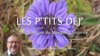 1382  Les Ptits déj spirituels  Ils seront égoïstes  2 Timothée 324 [upl. by Conti]