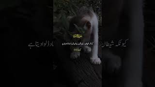 Listen to this beautiful quotes trending mohmmadﷺ islam surah allah [upl. by Sitra]