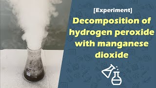 Decomposition of hydrogen peroxide with manganese dioxide [upl. by Acissaj523]