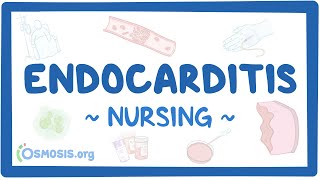 Endocarditis Clinical Nursing Care [upl. by Eeltrebor]