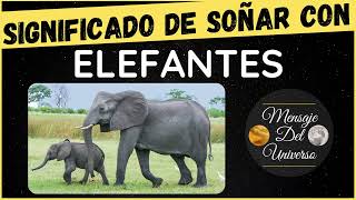 Interpretación de Soñar con Elefantes  Significado de Soñar con un Elefante [upl. by Ijok]