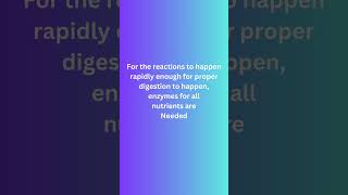 HOW DOES DIGESTION HAPPEN digestivesystem gastrin cck enzymes acid pH [upl. by Elenahc540]