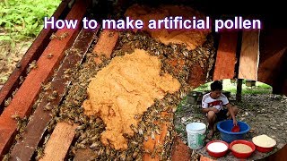 How to make artificial pollen  Feed the bees with artificial pollen [upl. by Busiek]