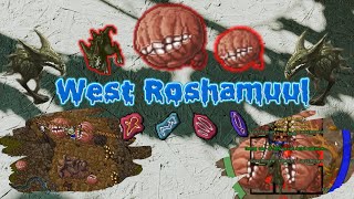 RP 500 West Roshamuul [upl. by Addia625]