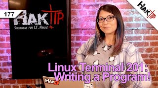 Building a Program With Shell Scripting Linux Terminal 201  HakTip 177 [upl. by Iruahs426]