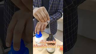 Ammonia identification test chemistry experiment lab [upl. by Thain]