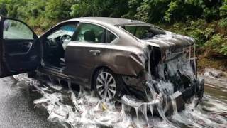 Truck carrying slime eels overturns coating cars and highway [upl. by Busiek]