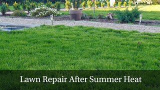 How We Revived Our Lawn After a Hot Summer  StepbyStep Grass Reseeding [upl. by Acenom693]