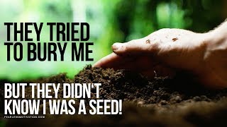 They Tried To Bury Me But They Didnt Know I Was A SEED [upl. by Bender]