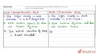 Write the main structural difference between DNA and RNA Of the four bases common to both DNA [upl. by Yhtamit]