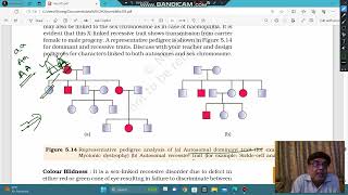 Pedigree Analysis  X linked dominant or Autosomal dominant [upl. by Hut]