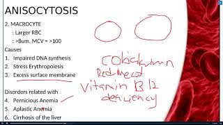 LESSONG 6amp7 ANISCYTOSIS AND POIKILOCYTOSIS [upl. by Davida]