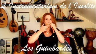 Les Guimbardes Jews Harp  LInstrumentarium de lInsolite [upl. by Leonardo]