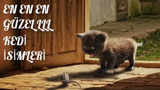 DUYULMAMIŞ EN COOL KEDİ İSİMLERİ💜GİZEMLİ GEZEGEN İSİMLERİ KEDİLERE ÇOK YAKIŞTI😻💜 [upl. by Ulphiah303]