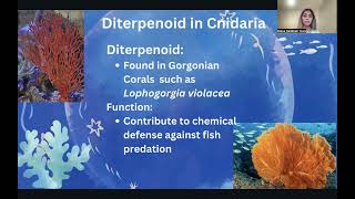 The Anticancer Potential of Phylum Porifera Cnidaria and Chordata [upl. by Chansoo87]