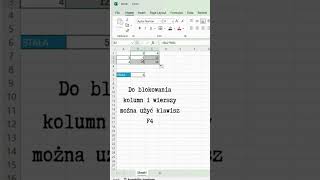 Blokowanie kolumn i wierszy excel exceltips foryou [upl. by Rempe]