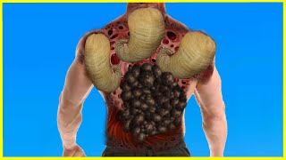 ASMR man got back worms treatment  2d ASMR Animation [upl. by Lacram]