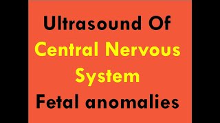 Ultrasound of CNS foetal anomalies [upl. by Hettie]