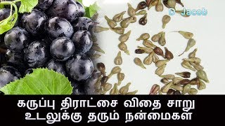 கருப்பு திராட்சை விதை சாறு உடலுக்கு தரும் நன்மைகள்  black grapes seeds uses [upl. by Rives447]