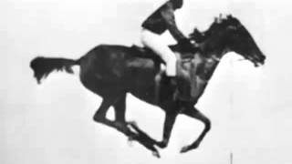 The horse in motion Eadweard Muybridge 1878 First Film Ever [upl. by Sumner]