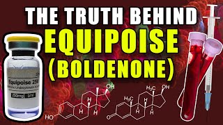 THE TRUTH BEHIND EQUIPOISE  Does Boldenone Aromatize Into Estradiol Or Act As An AI [upl. by Barnabas44]