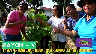 DAPUR HIDUP YANG MENGHIDUPKAN PANEN PERTAMA UPP PEREMPUAN JEPANG 2024 [upl. by Carlynne894]