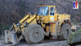 KAELBLE SL 25 B Wheel Loader Walkaround  Radlader Quarry  Steinbruch Germany 2017 [upl. by Naujad]