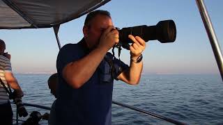 BirdLife Malta Shearwater Boat Trips 2022 3 [upl. by Names]