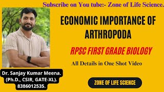 Economic Importance of Arthropoda For RPSC First Grade Biology by Dr Sanjay Meenarpscfirstgrade [upl. by Alleoj432]