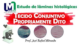 Tecido conjuntivo propriamente dito  Estudo de lâminas histológicas [upl. by Nej]