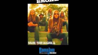 Blackberry Smoke  Shake Your Magnolia Official Audio [upl. by Aicekat]