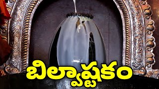 బిల్వాష్టకం  Bilvashtakam Full  Lord Shiva Bhakthi Songs [upl. by Trumann973]