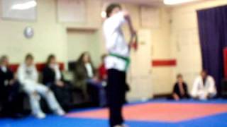 Kenpo Karate Broad Sword form [upl. by Aniham]