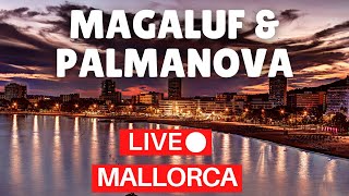 🔴 LIVE Magaluf to Palmanova Mallorca Majorca Spain  14 August 2022 [upl. by Asare]