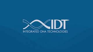 PrimerQuest® Tool  Making PCR and qPCR assay design faster and easier [upl. by Ysac]