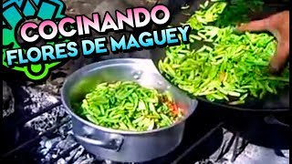 LA FLOR DE MAGUEY Preparación Documental Quiotes o Gualumbos Platillo Prehispánico Comida Mexicana [upl. by Jariv]