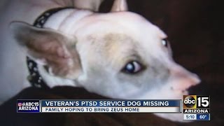 Peoria family frantically searching for soldiers PTSD dog [upl. by Grey]