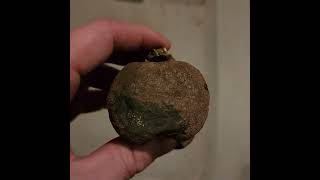 Another sweet Dinosaur Fossil Vertebra from the famous Hell Creek Formation South Dakota [upl. by Giverin816]