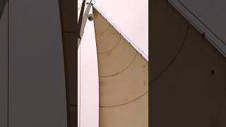 Symmetric Spinnaker Flown on the pole for the 1st time to dry after washing spinnaker setsail [upl. by Ilbert]