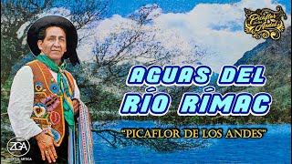 Picaflor de los Andes  AGUAS DEL RÍO RÍMAC [upl. by Nnairek]