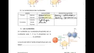 BIOCH  Acides nucléiques [upl. by Ardiek]