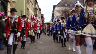 Rosenmontagsumzug in Koblenz 2014 [upl. by Celik282]