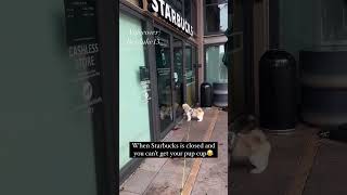 He couldn’t believe Starbucks wasn’t open remix reaction pubity VC Cheyenne Canal via ViralHog [upl. by Tabib408]